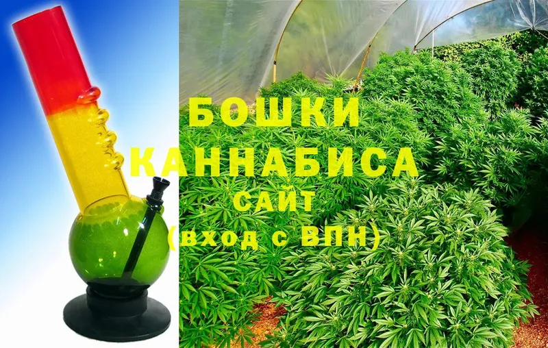 Бошки Шишки SATIVA & INDICA  Армянск 